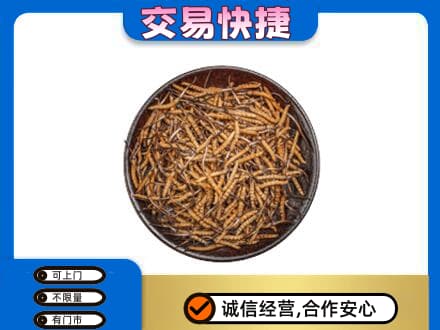 黄冈高价回收散虫草